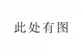 德格讨债公司